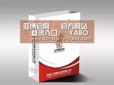 项目名称十三