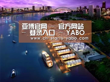 案例展示八