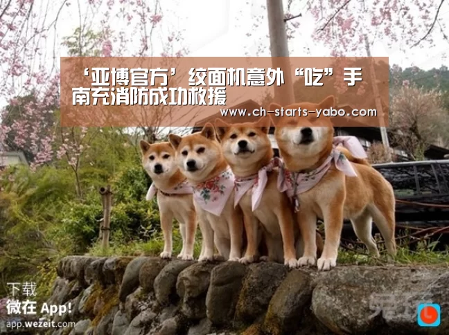 亚博官方